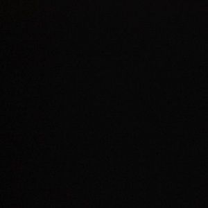 Meet your Posher, Donnie